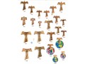 CROCI TAU LEGNO